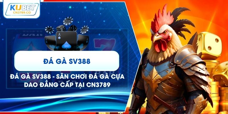 Đá Gà SV388 - Sân Chơi Đá Gà Cựa Dao Đẳng Cấp Tại CN3789
