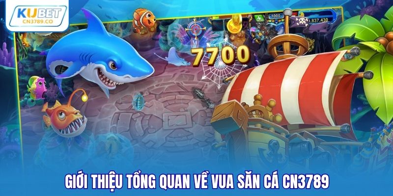 Giới thiệu tổng quan về vua săn cá CN3789