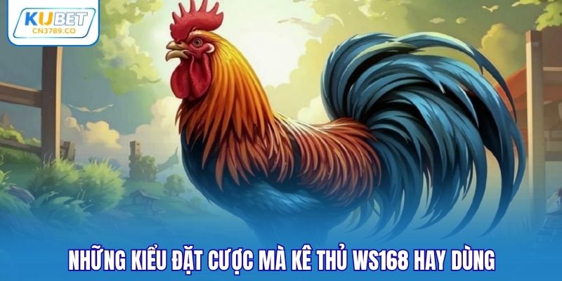 Những kiểu đặt cược mà kê thủ WS168 hay dùng