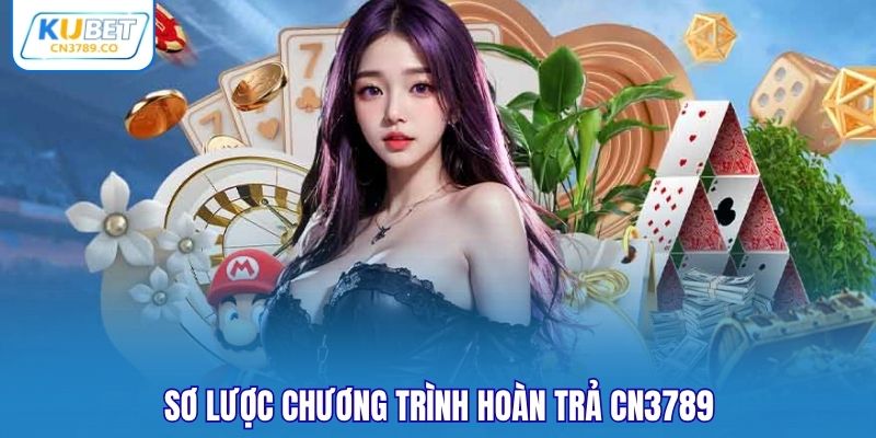 Sơ lược chương trình hoàn trả CN3789