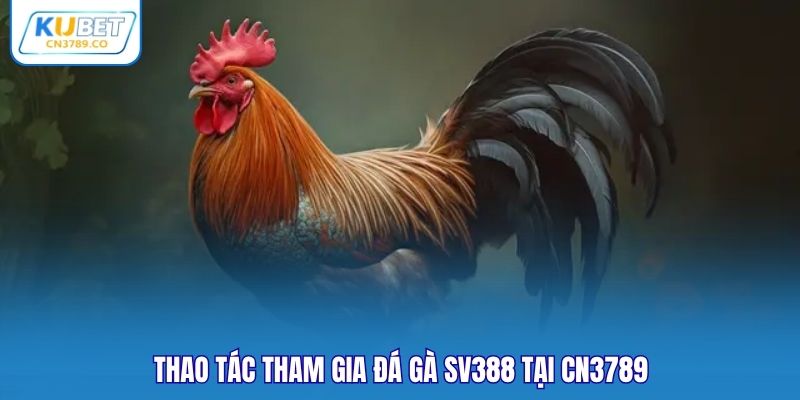 Thao tác tham gia đá gà SV388 tại CN3789